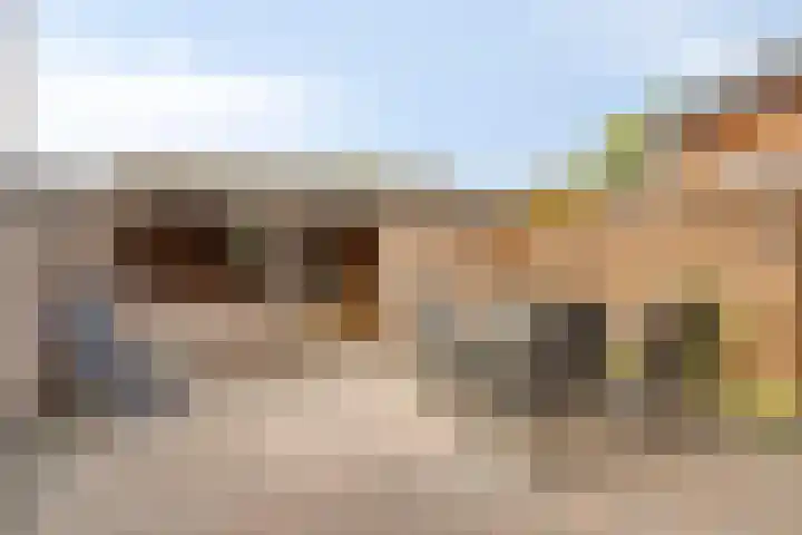 Anjer 1 De Lier thumbnail 33