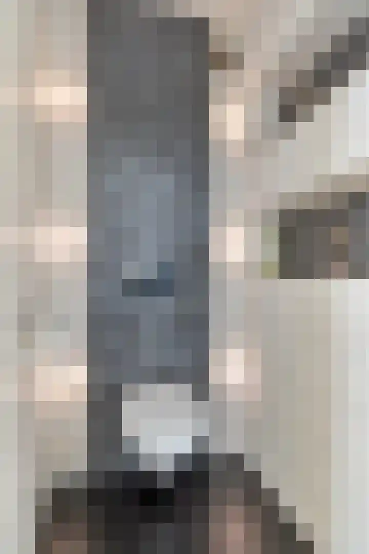 Anjer 1 De Lier thumbnail 6