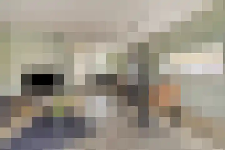 Anjer 1 De Lier thumbnail 9