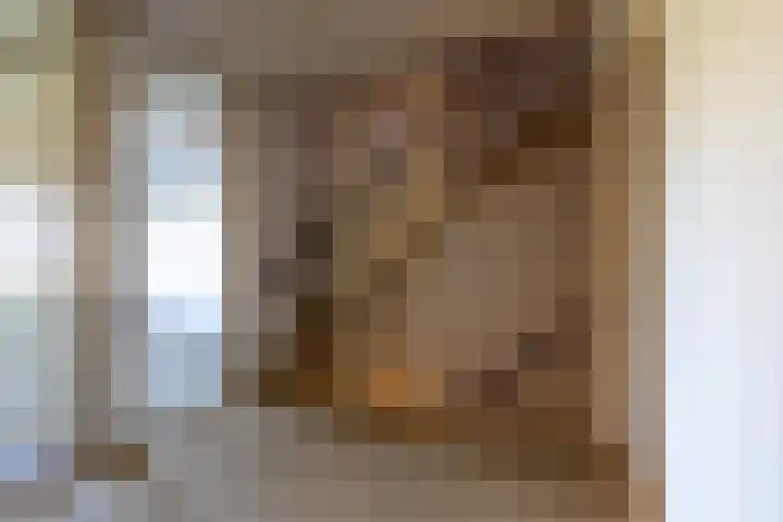 Anjerdreef 28 Berkel en Rodenrijs thumbnail 12