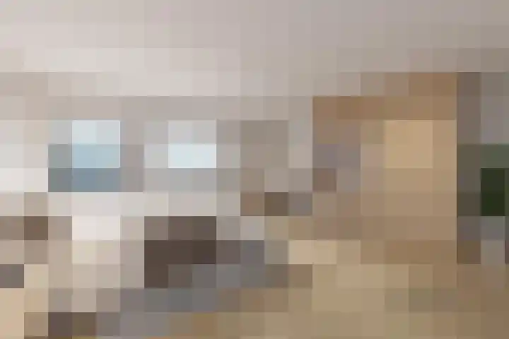 Anjerdreef 28 Berkel en Rodenrijs thumbnail 13