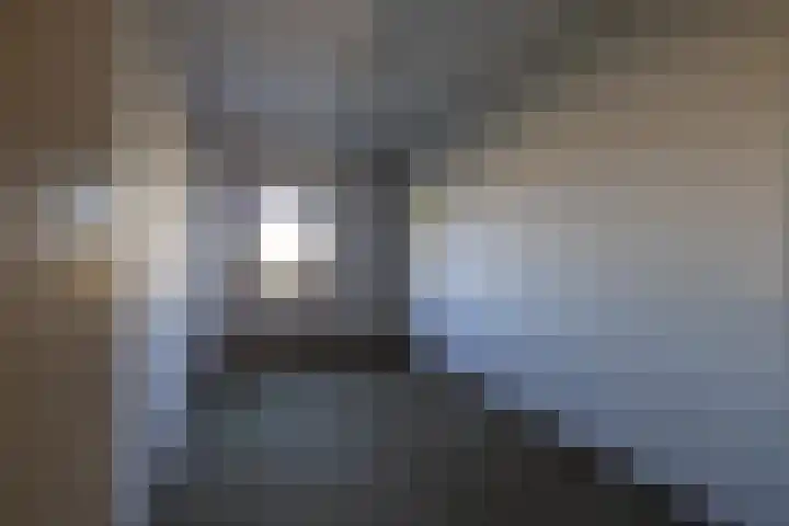 Anjerdreef 28 Berkel en Rodenrijs thumbnail 15