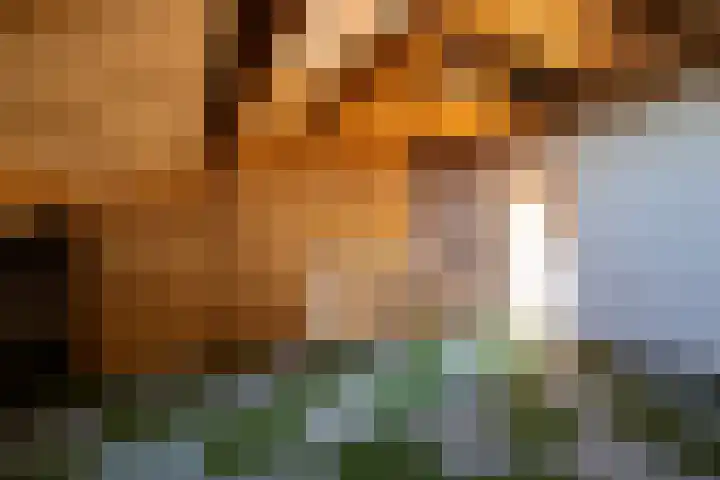 Anjerdreef 28 Berkel en Rodenrijs thumbnail 18