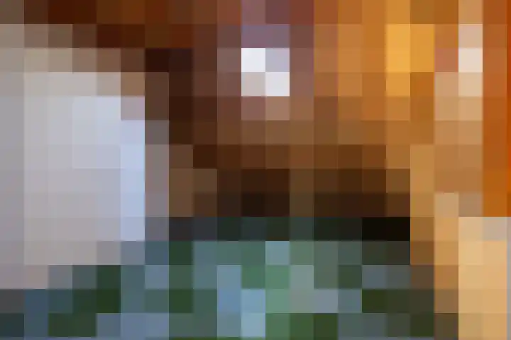 Anjerdreef 28 Berkel en Rodenrijs thumbnail 19