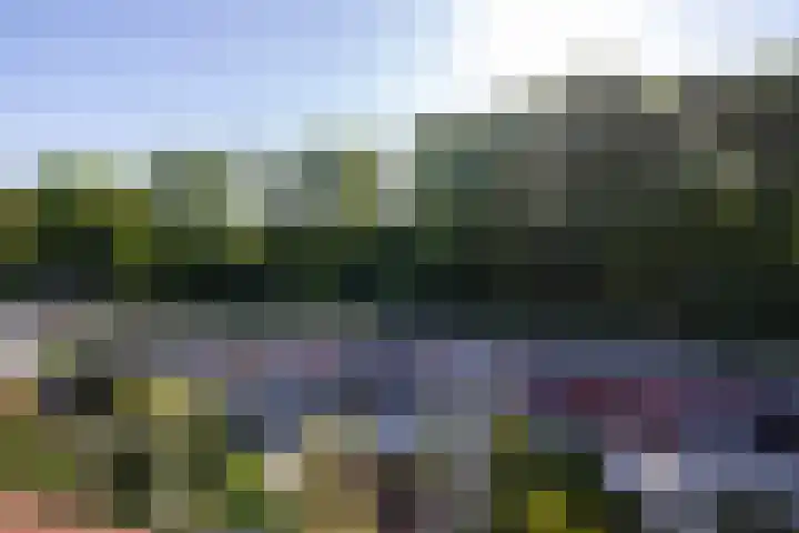 Anjerdreef 28 Berkel en Rodenrijs thumbnail 23