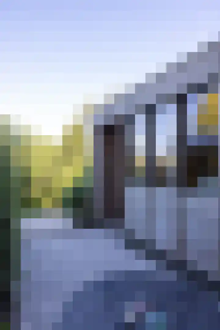 Anjerdreef 28 Berkel en Rodenrijs thumbnail 24