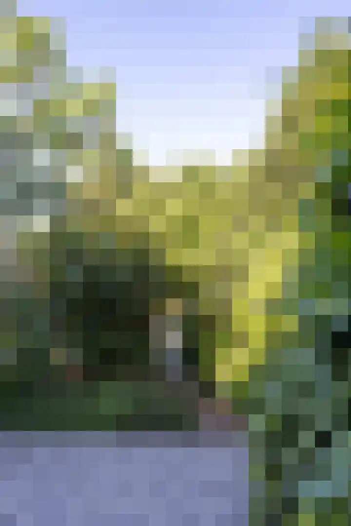 Anjerdreef 28 Berkel en Rodenrijs thumbnail 26