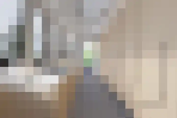 Anjerdreef 28 Berkel en Rodenrijs thumbnail 5