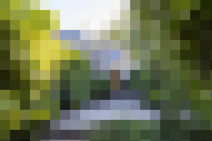 Anjerdreef 28 Berkel en Rodenrijs thumbnail 6