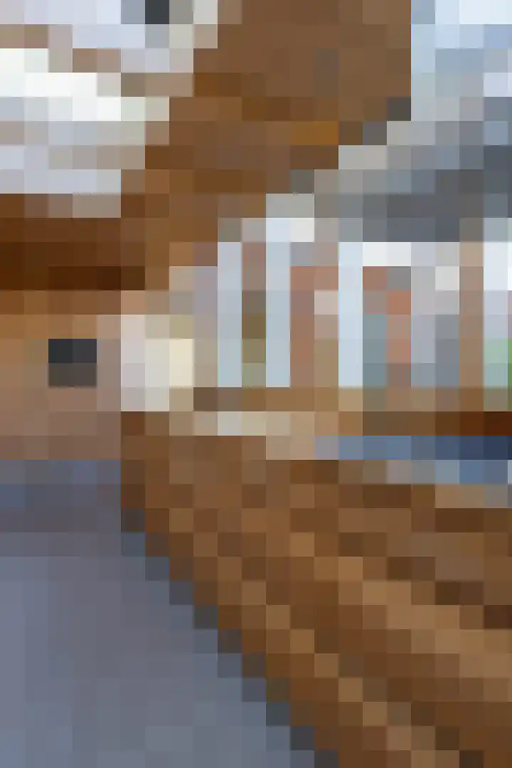 Anjerdreef 28 Berkel en Rodenrijs thumbnail 7