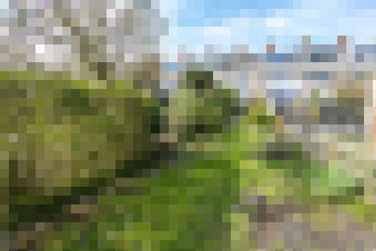 Anjerdreef 38 Berkel en Rodenrijs thumbnail 59