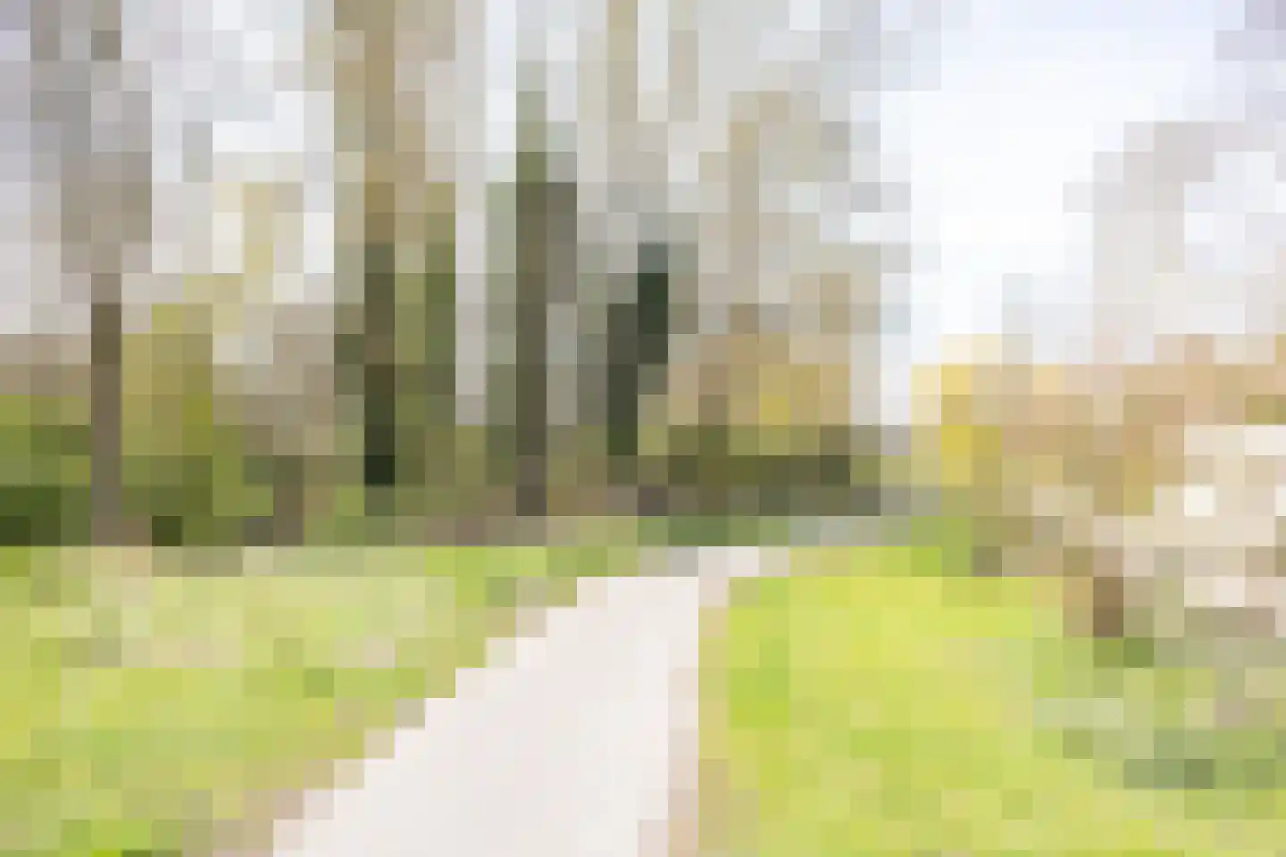 Anjerdreef 38 Berkel en Rodenrijs thumbnail 66