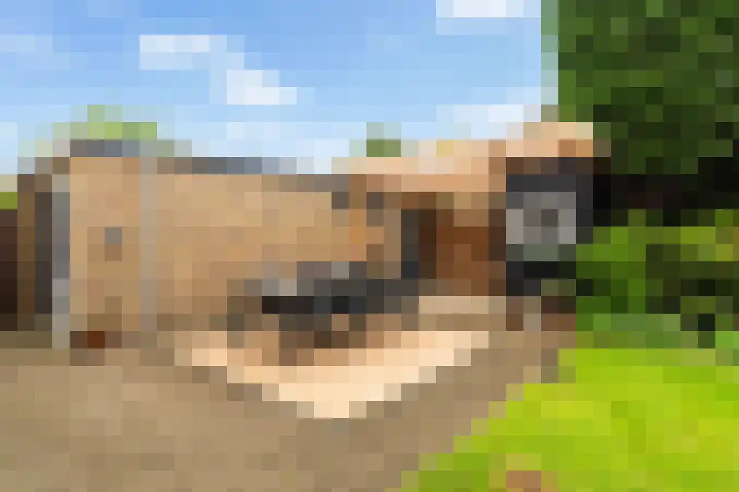 Anjerdreef 62 Berkel en Rodenrijs thumbnail 29
