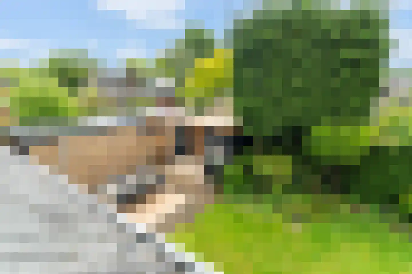 Anjerdreef 62 Berkel en Rodenrijs thumbnail 33