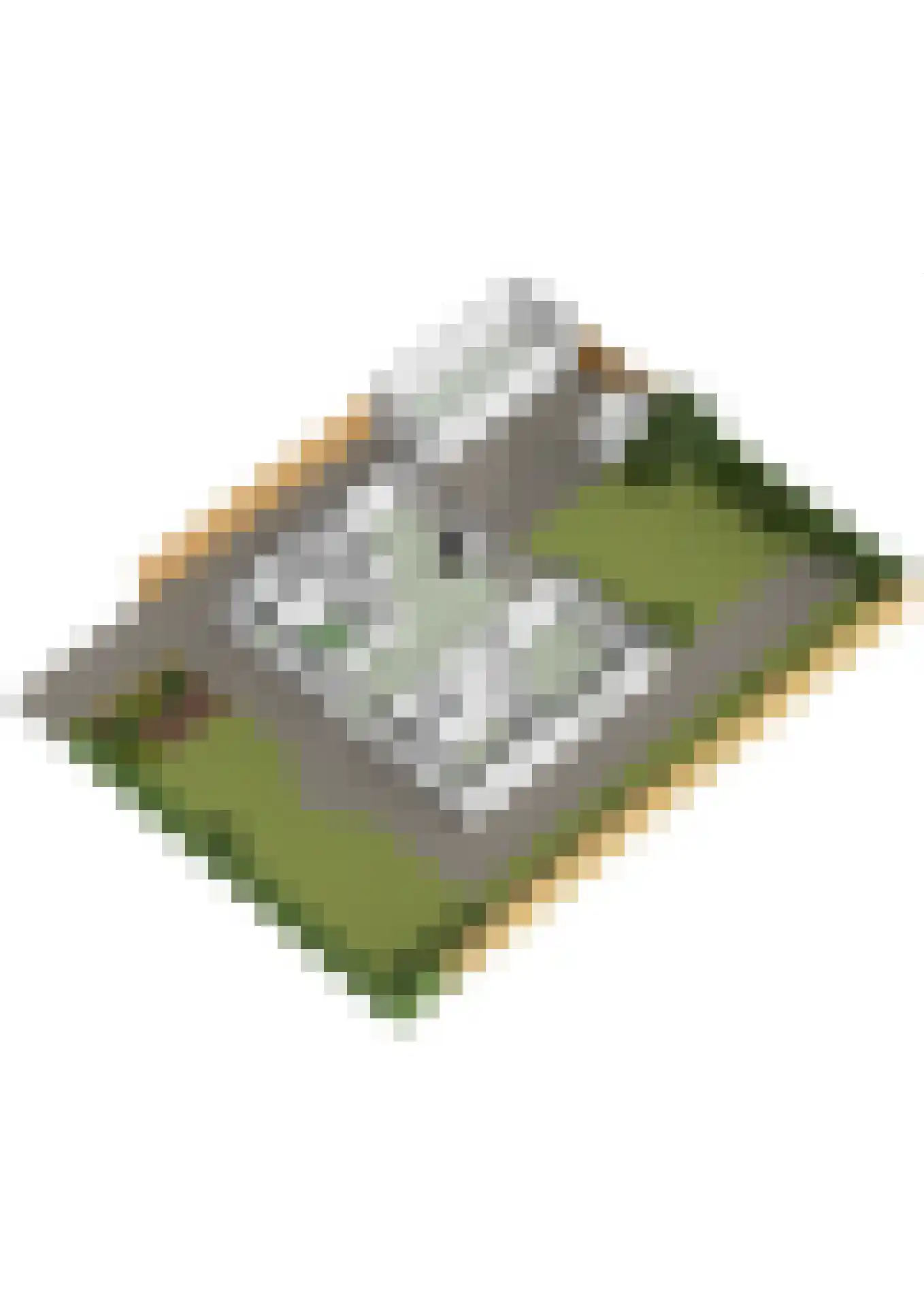 Anjerdreef 62 Berkel en Rodenrijs thumbnail 64