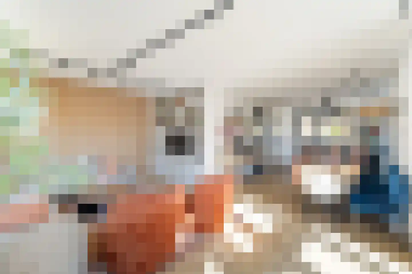 Anjerdreef 92 Berkel en Rodenrijs thumbnail 12