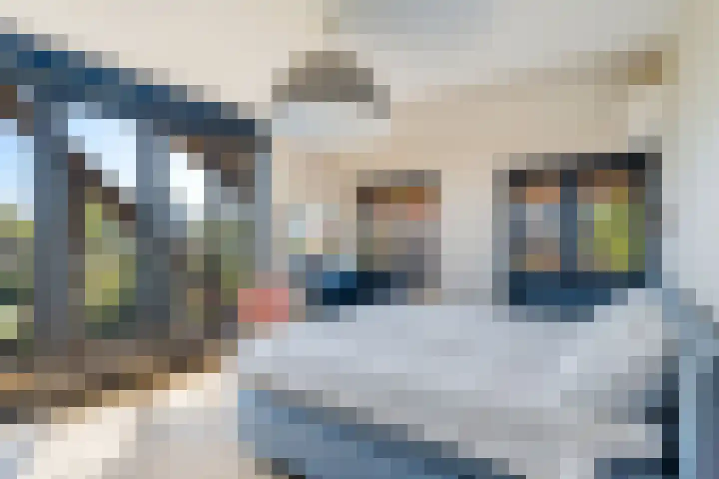 Anjerdreef 92 Berkel en Rodenrijs thumbnail 37