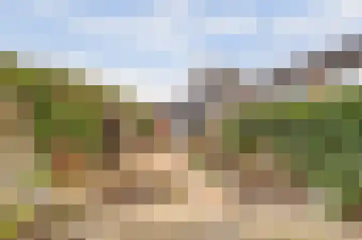 Anjerhof 2 Nieuwegein thumbnail 31