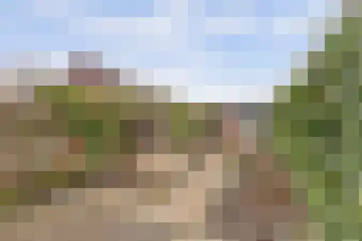 Anjerhof 2 Nieuwegein thumbnail 32