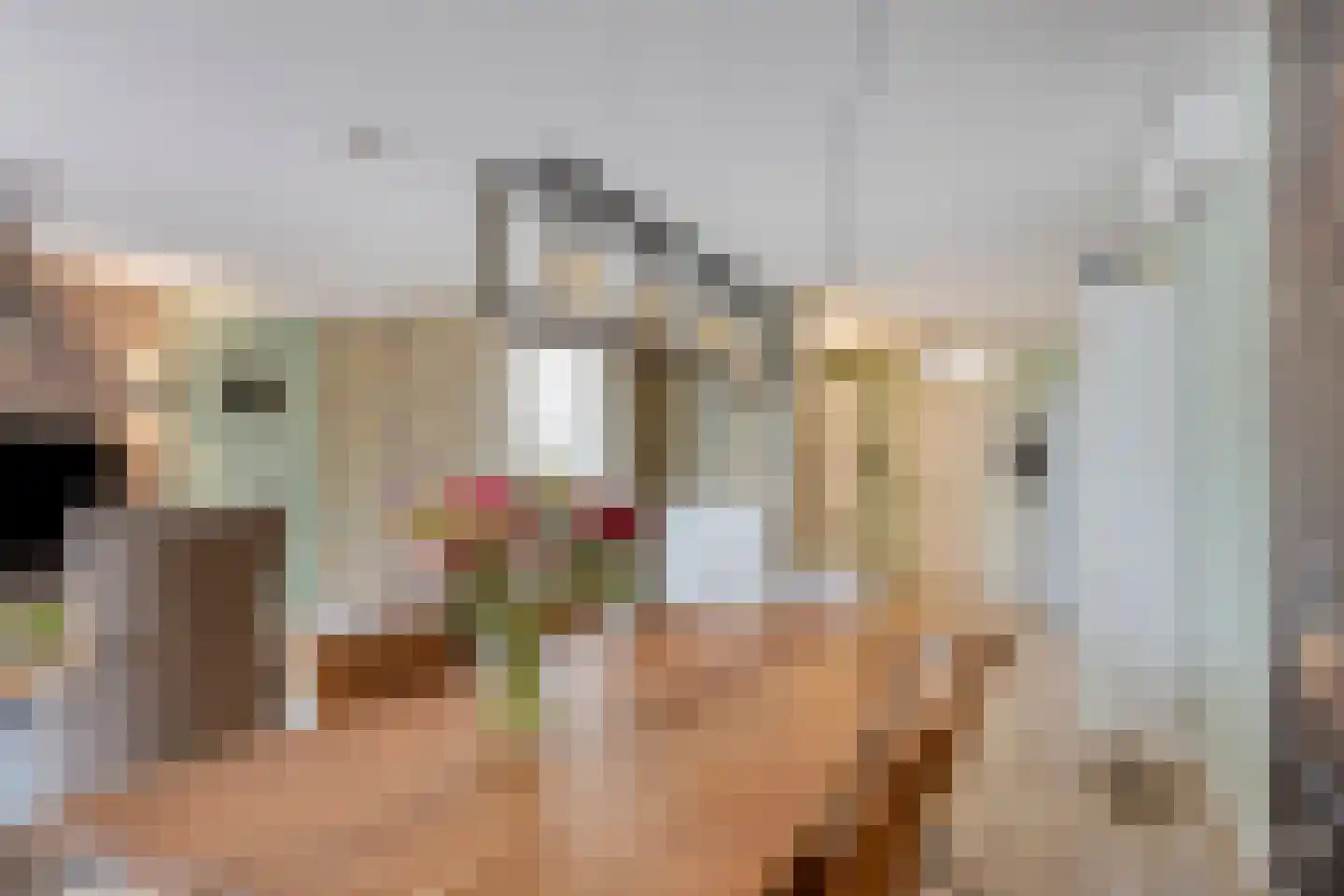 Anjerhof 28 Maarheeze thumbnail 11