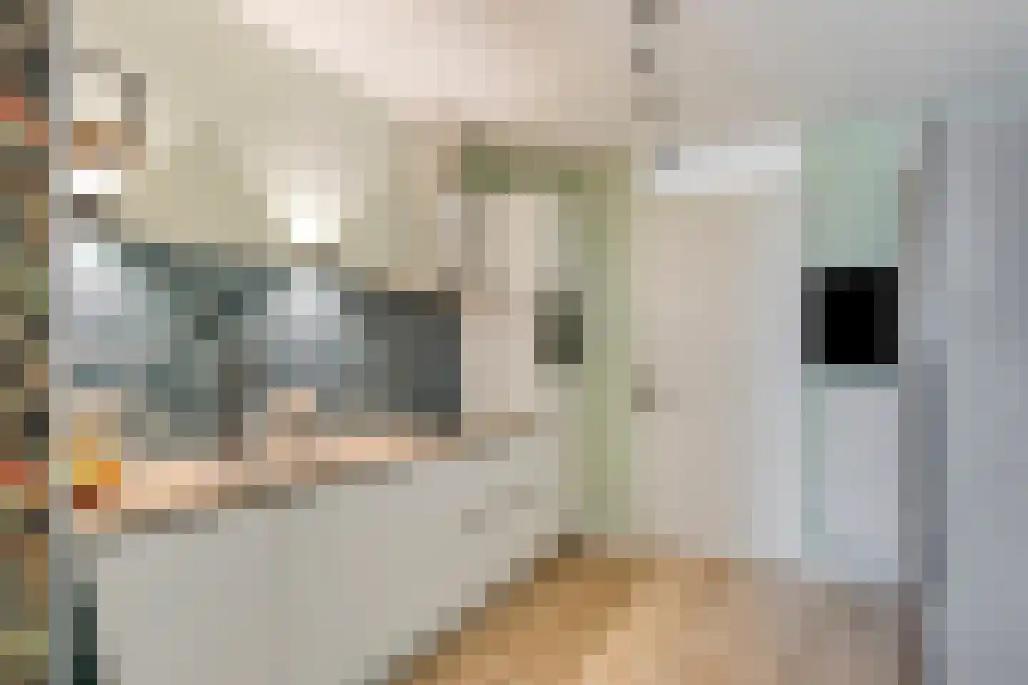 Anjerhof 28 Maarheeze thumbnail 12