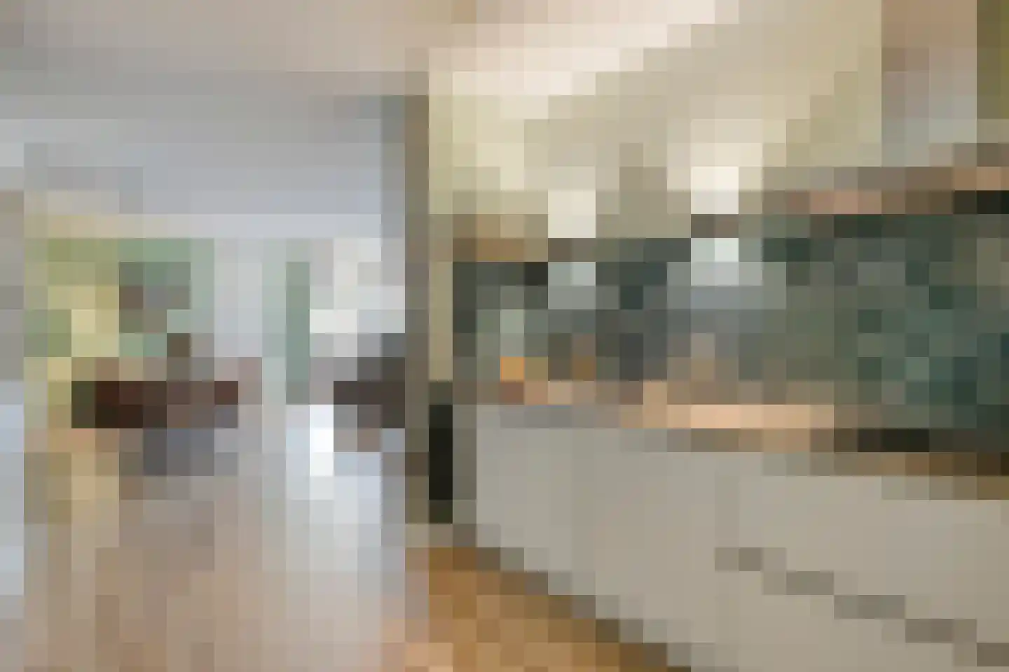 Anjerhof 28 Maarheeze thumbnail 14