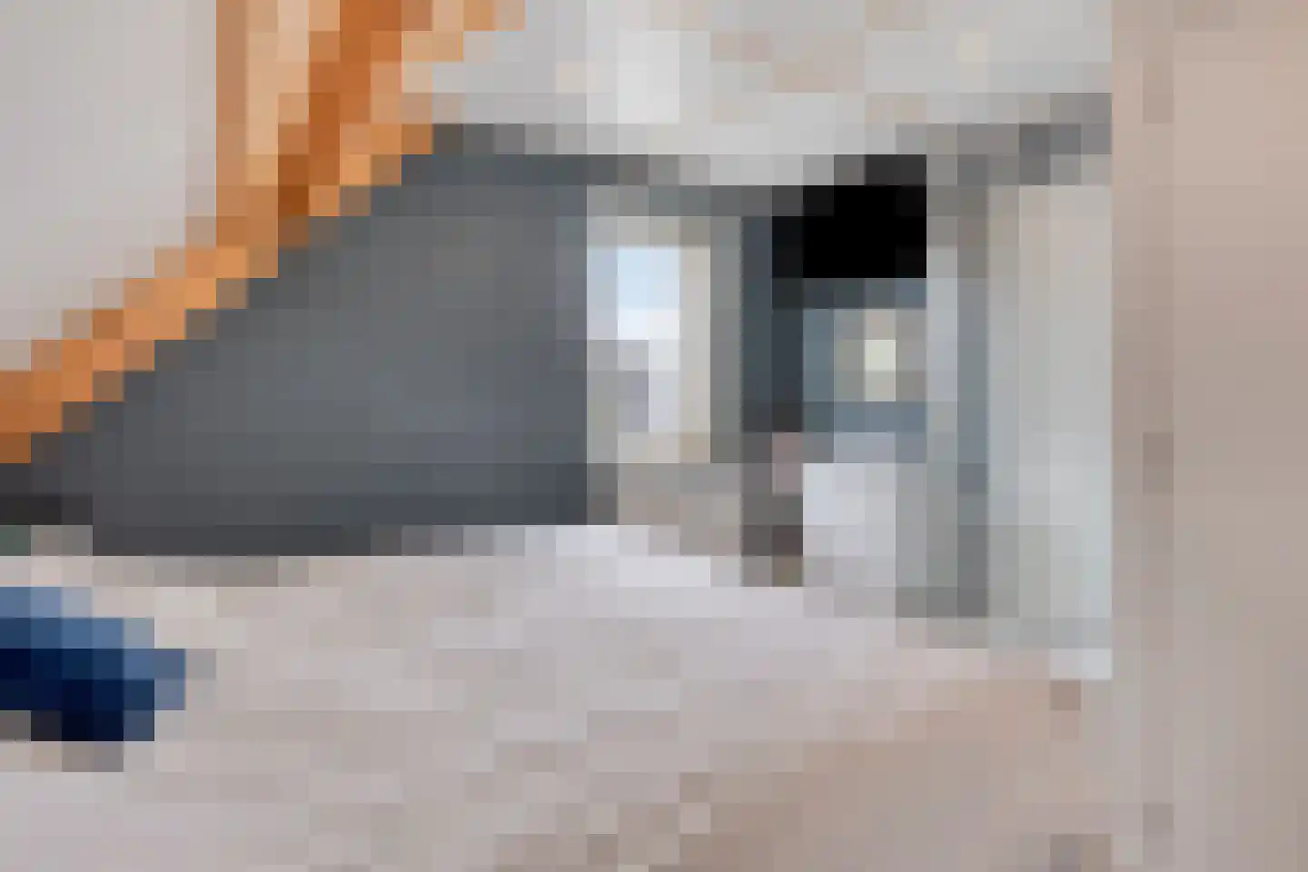 Anjerhof 28 Maarheeze thumbnail 25