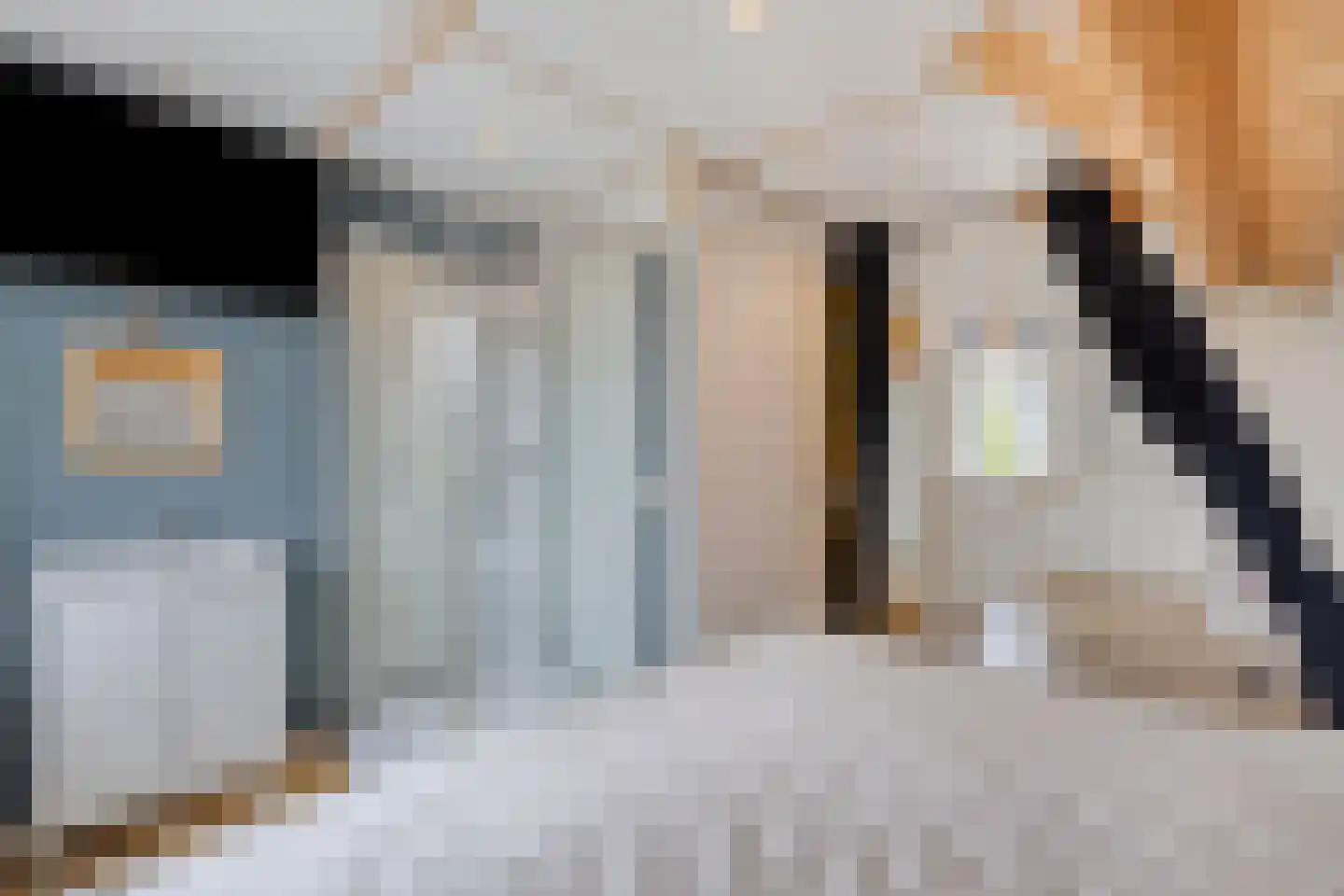 Anjerhof 28 Maarheeze thumbnail 26