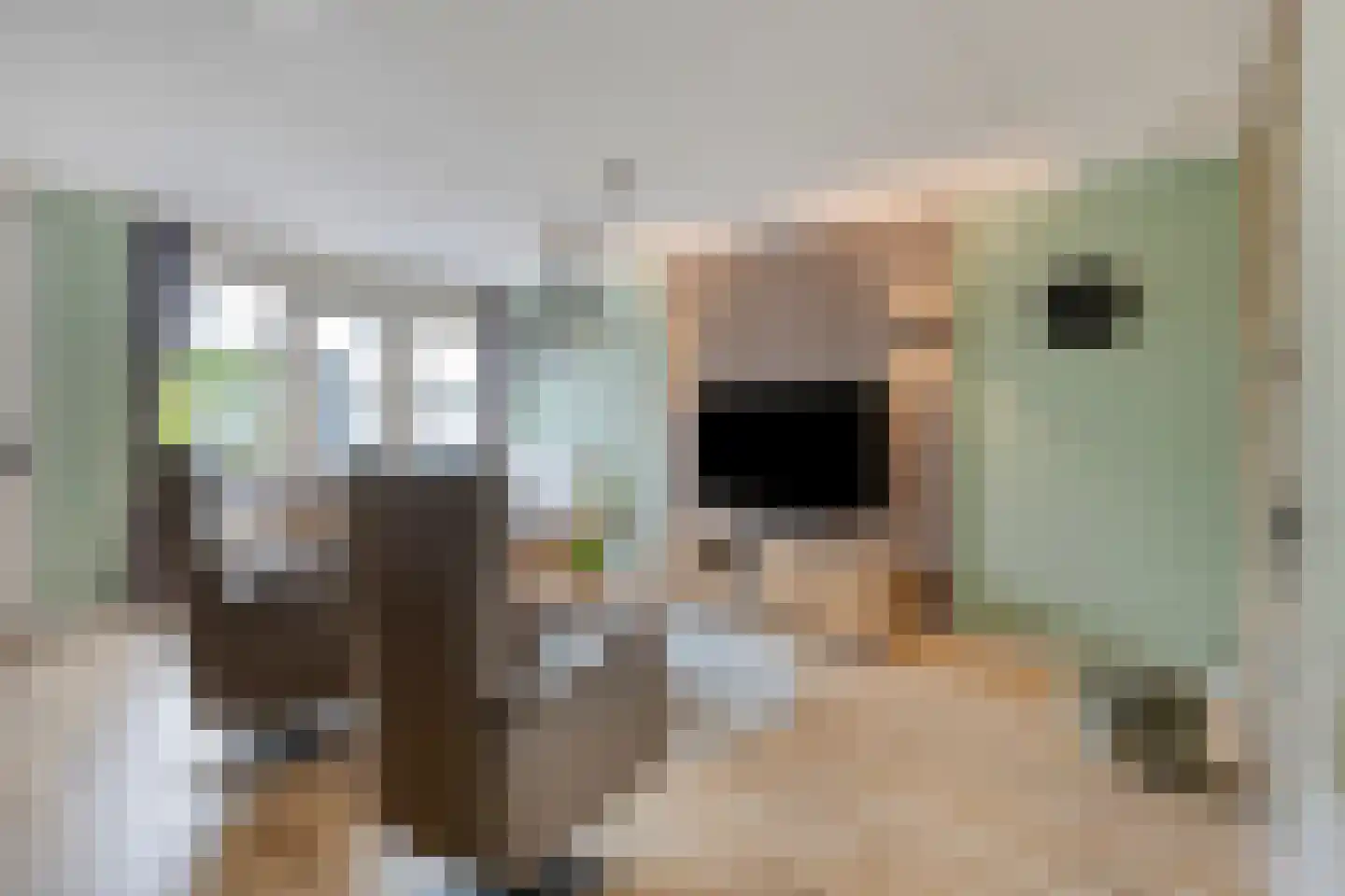 Anjerhof 28 Maarheeze thumbnail 5