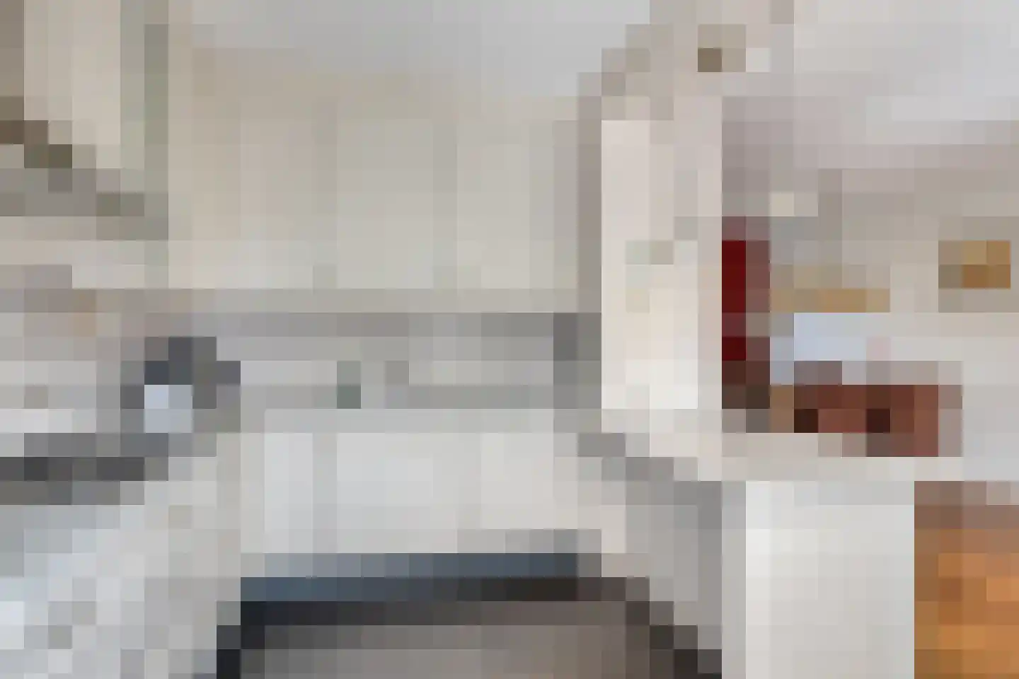 Anjerhof 3 Lopik thumbnail 10