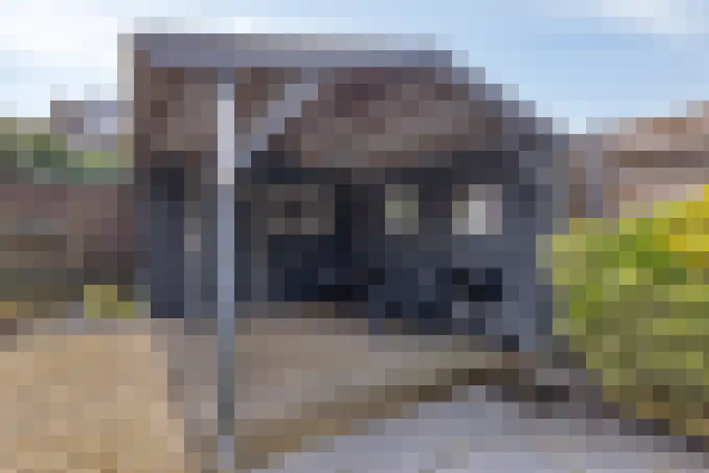 Anjerhof 3 Lopik thumbnail 28