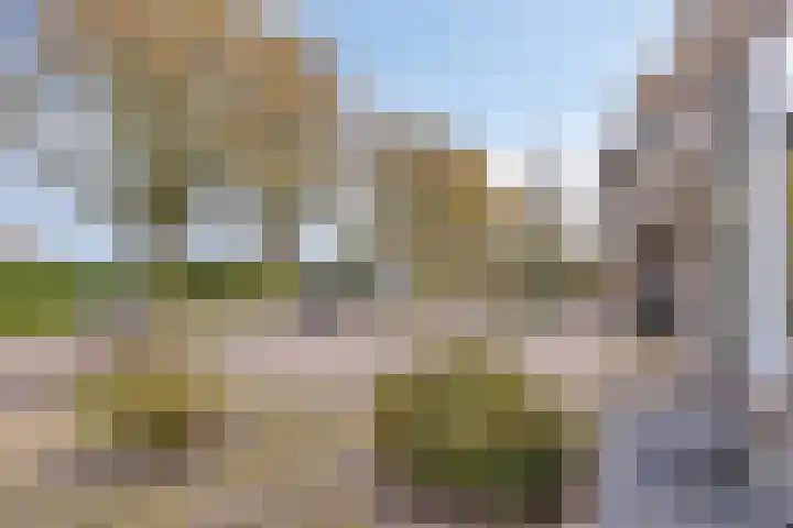 Anjerhof 3 Lopik thumbnail 36
