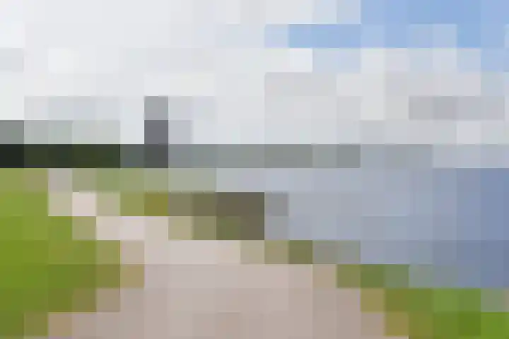 Anjerhof 54 Aalsmeer thumbnail 11