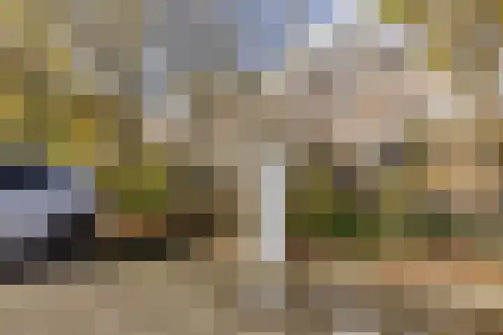 Anjerhof 55 Aalsmeer thumbnail 30