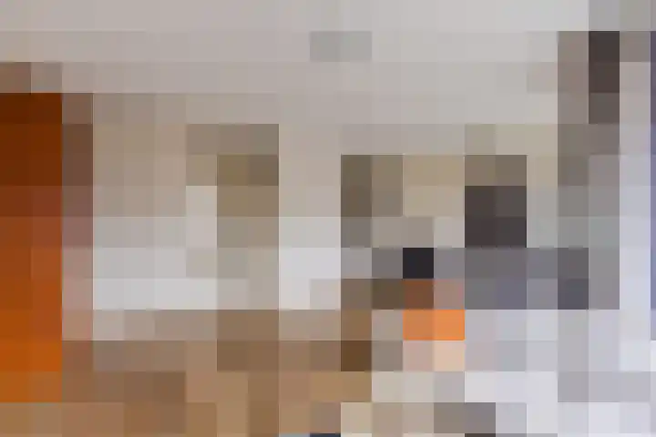 Anjerhof 55 Aalsmeer thumbnail 7