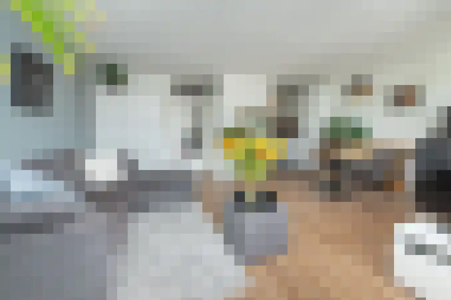 Anjerhof 57 Aalsmeer thumbnail 8