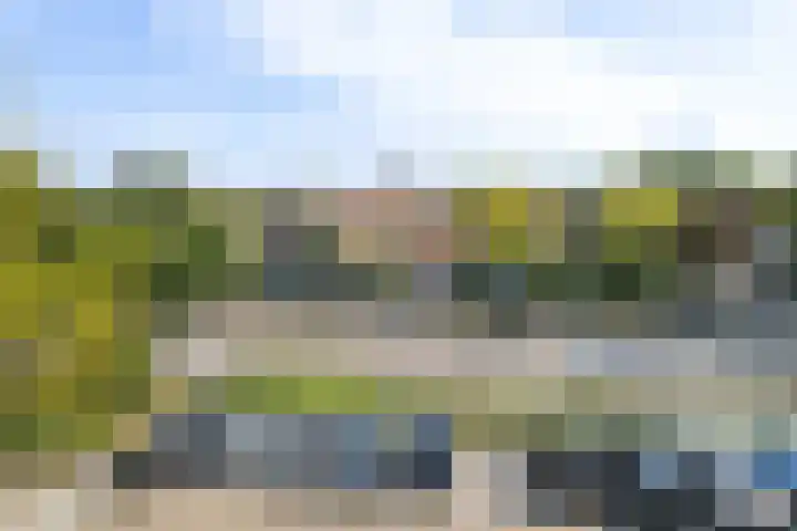 Anjerhof 6 Naaldwijk thumbnail 19