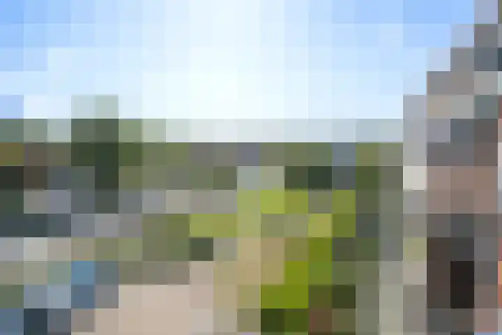 Anjerhof 6 Naaldwijk thumbnail 20