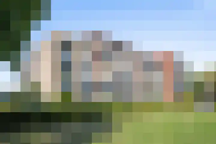 Anjerhof 6 Naaldwijk thumbnail 21