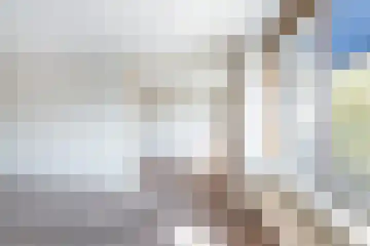 Anjerhof 6 Naaldwijk thumbnail 7