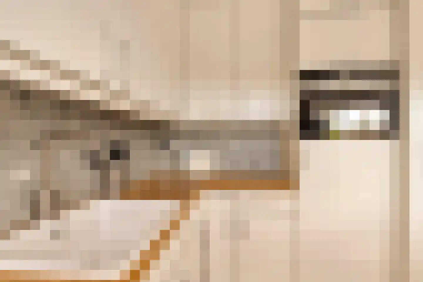 Anjerhof 71 Aalsmeer thumbnail 12