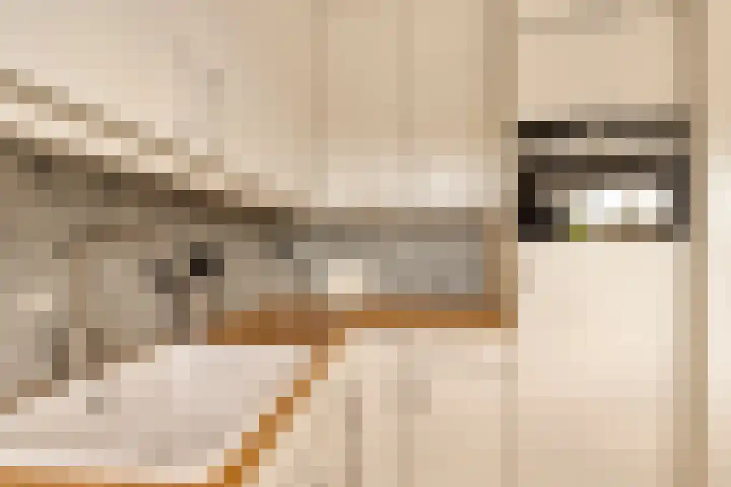 Anjerhof 71 Aalsmeer thumbnail 13