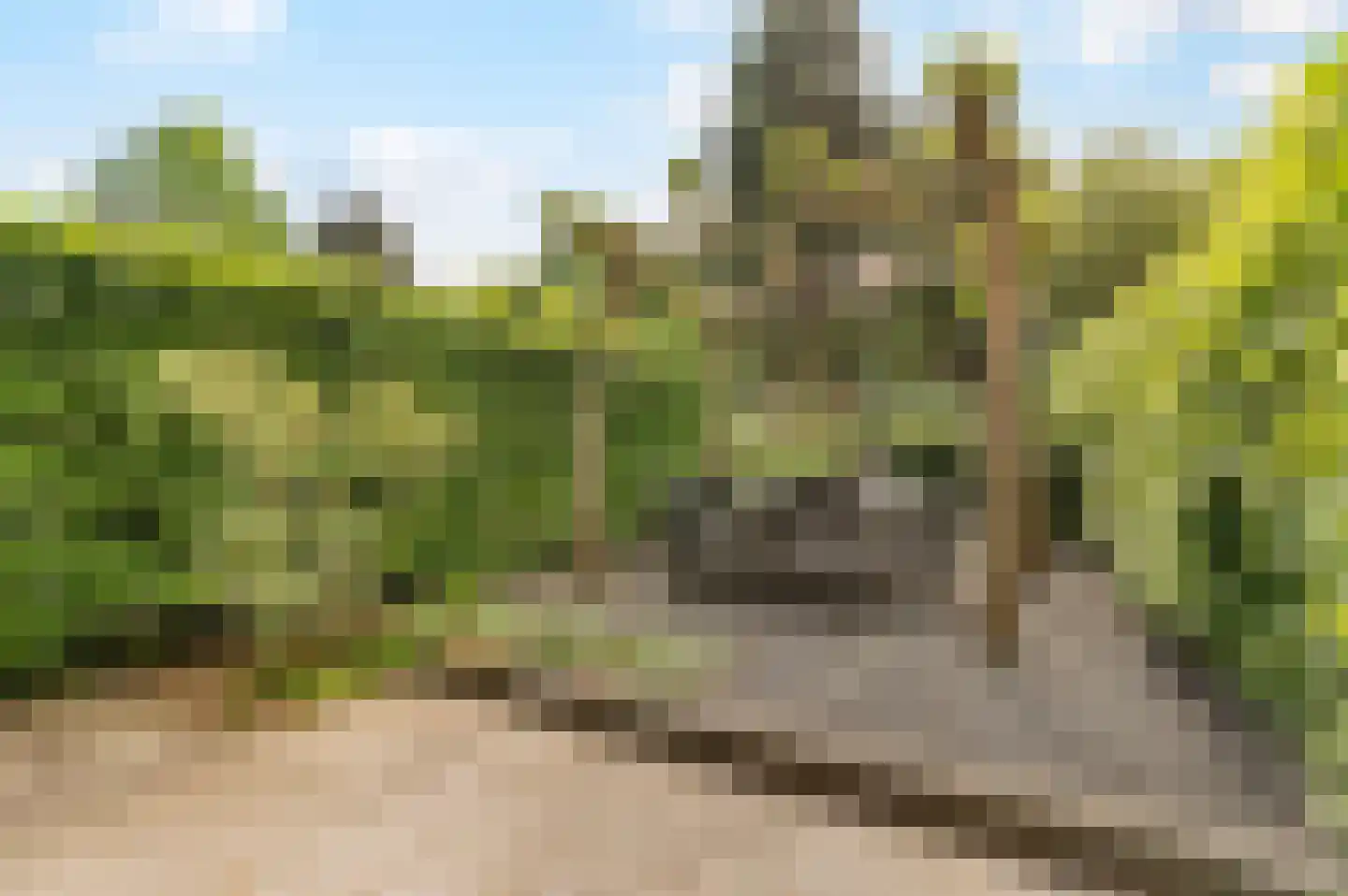 Anjerhof 71 Aalsmeer thumbnail 14