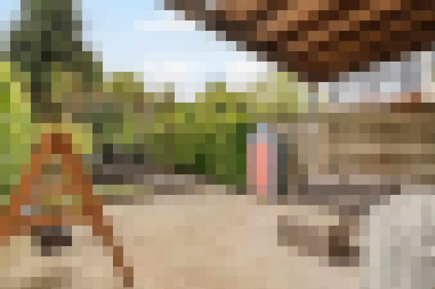 Anjerhof 71 Aalsmeer thumbnail 14