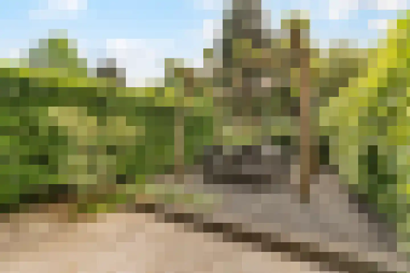 Anjerhof 71 Aalsmeer thumbnail 15