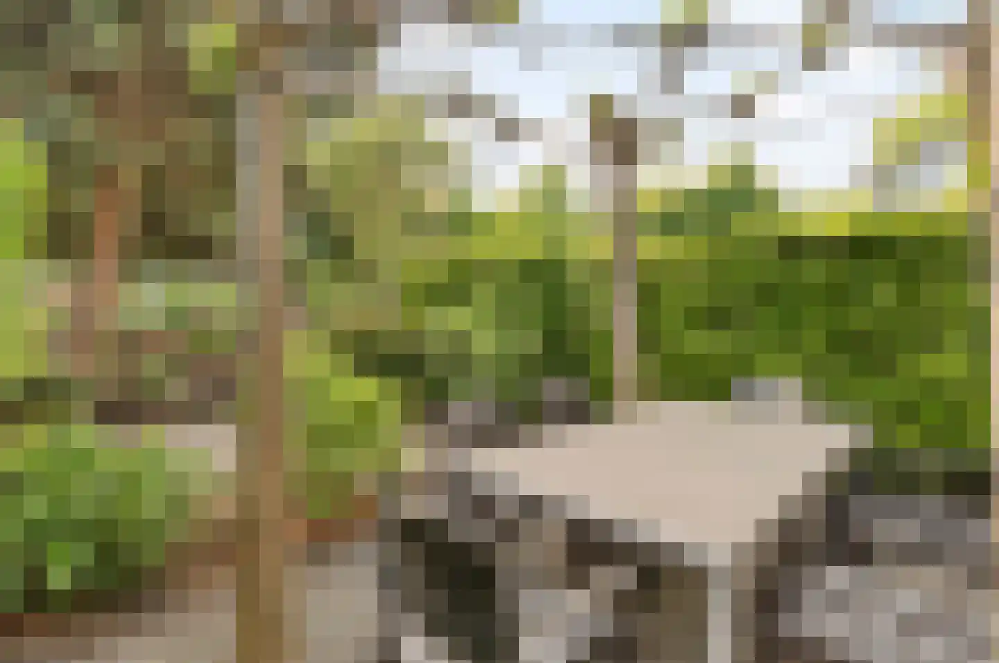 Anjerhof 71 Aalsmeer thumbnail 18