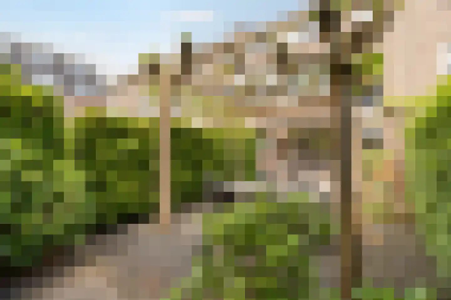 Anjerhof 71 Aalsmeer thumbnail 19