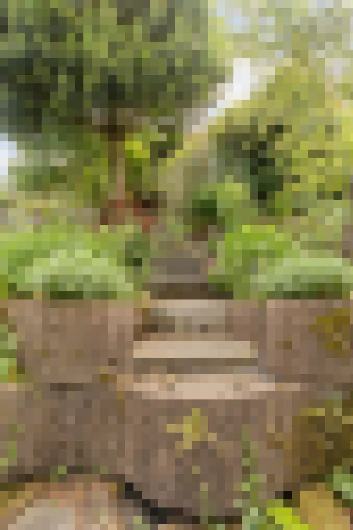Anjerhof 71 Aalsmeer thumbnail 20