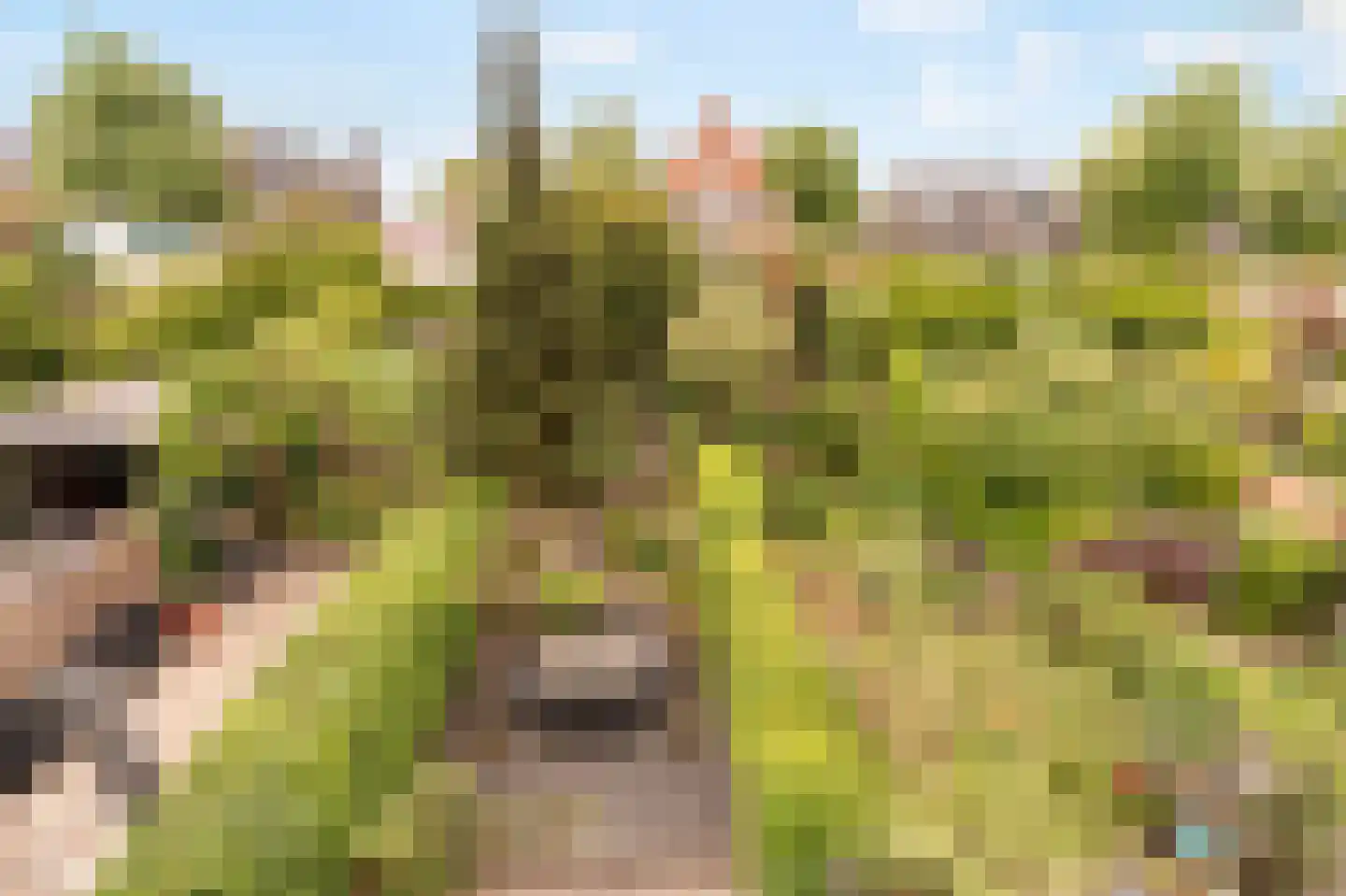 Anjerhof 71 Aalsmeer thumbnail 26