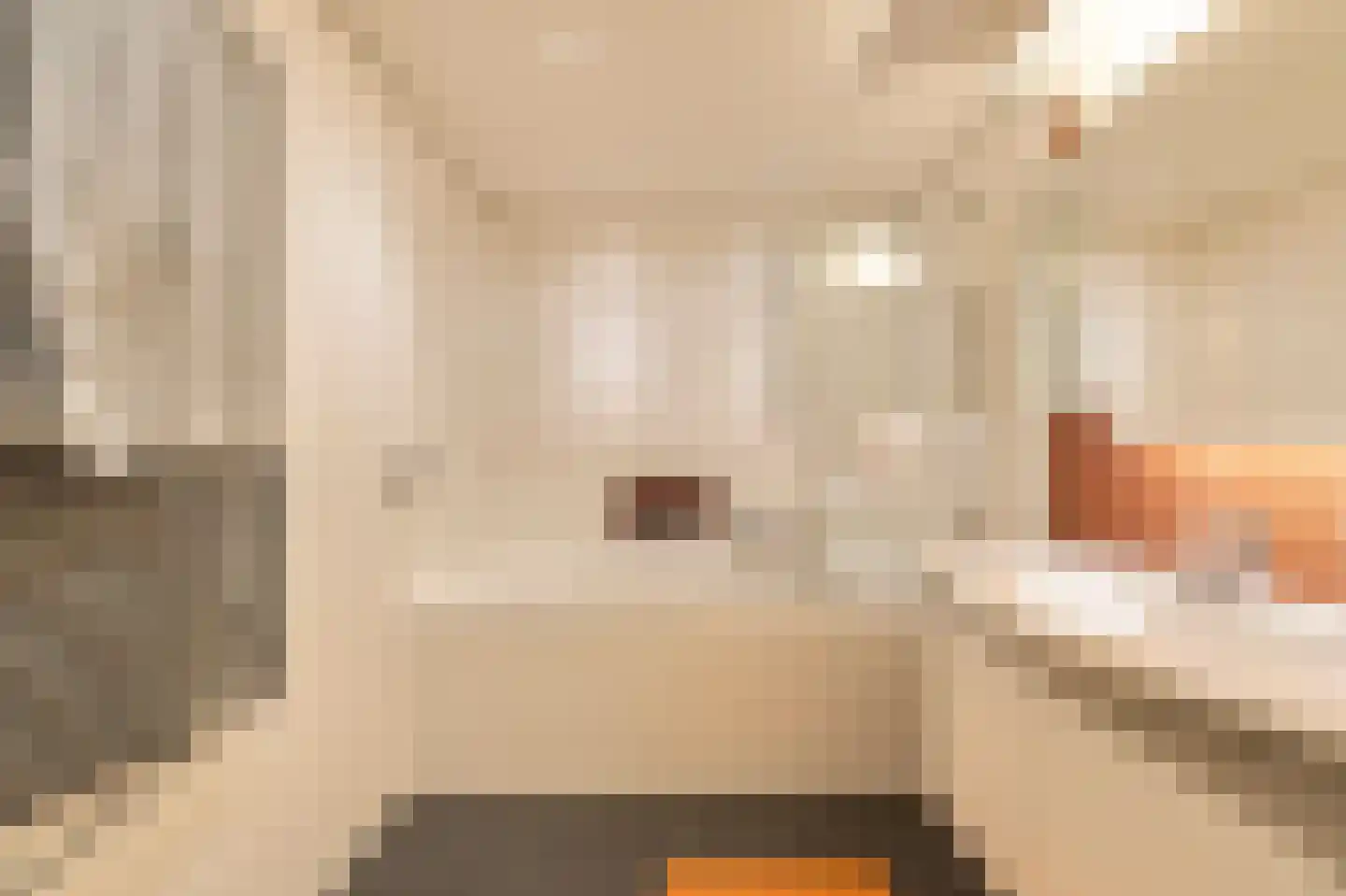 Anjerhof 71 Aalsmeer thumbnail 31